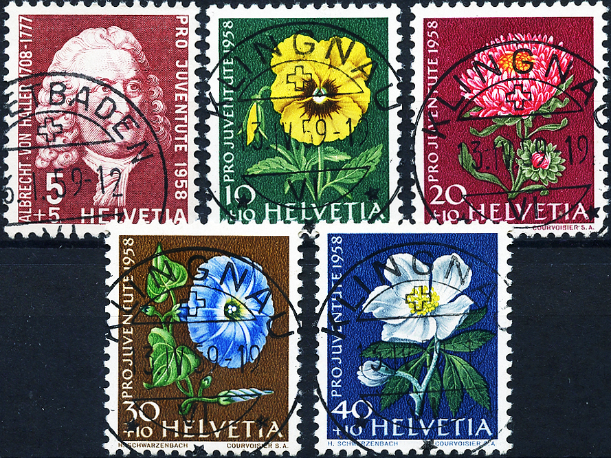 Bild-1: J173-J177 - 1958, Bildnis Albrecht von Haller und Blumenbilder