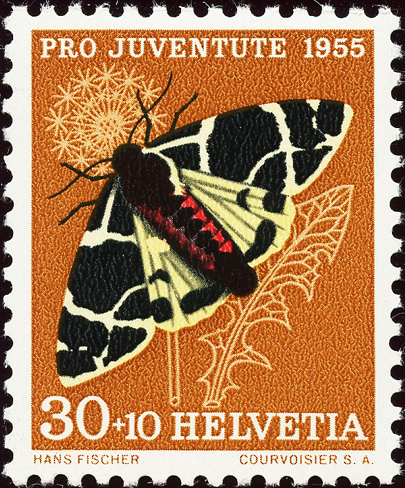 Bild-1: J161.2.01 - 1955, Bildnis Charles Pictet-de Rochements und Insektenbilder