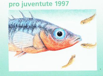 Briefmarken: JMH46 - 1997 Pro Juventute, Stichling
