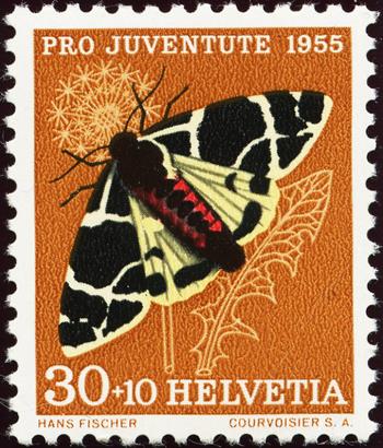 Thumb-1: J161.2.01 - 1955, insect pictures, yellow bear