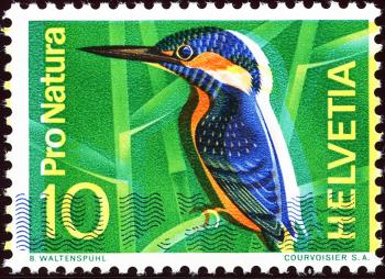 Thumb-1: 439.1.09 - 1966, kingfisher