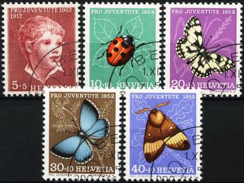 Thumb-1: J143-J147 - 1952, Boy's picture and insect pictures