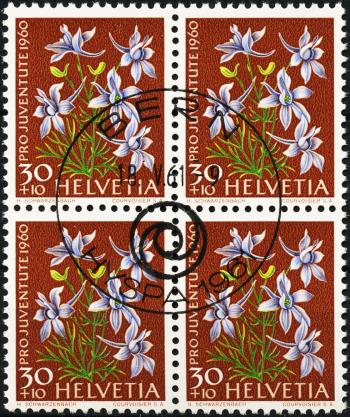 Thumb-1: J186b - 1960, Portrait of Alexandre Calames and flower paintings