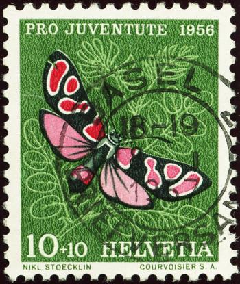 Thumb-1: J164.1.09 - 1956, Portrait of Carlos Maderno and insect paintings
