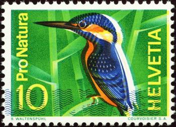 Francobolli: 439.1.09 - Varietà, nuovo, gomma integra